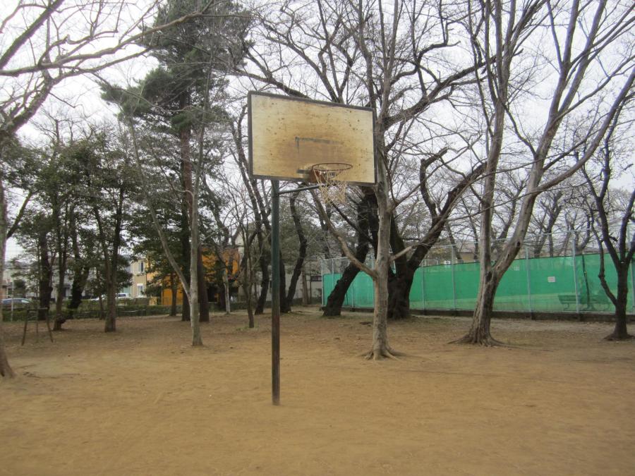 昭和公園バスケットゴール