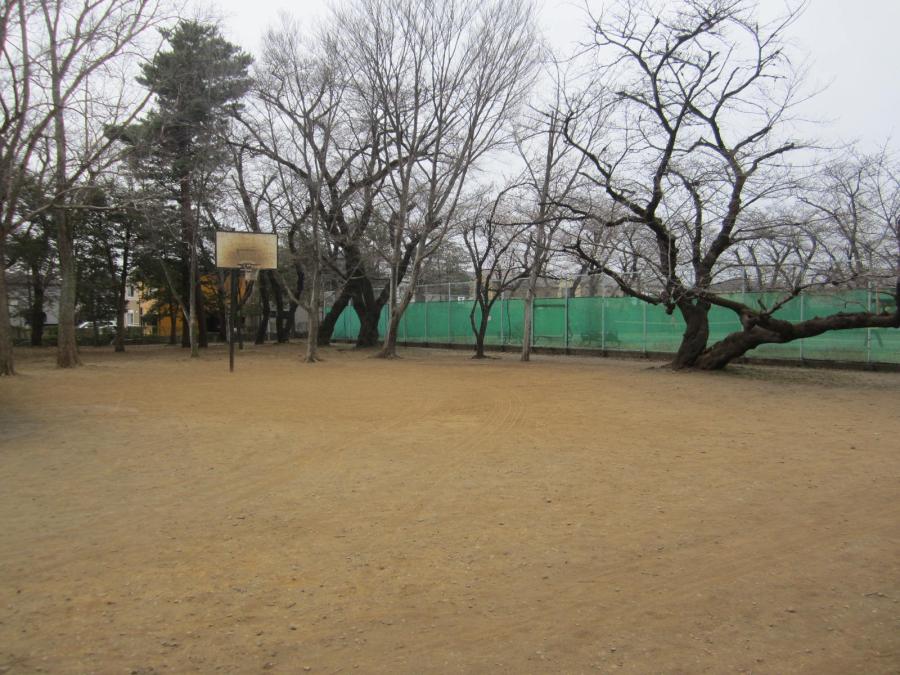 昭和公園バスケットゴール（全景）
